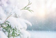 Туман, гололед и осадки ожидаются в нескольких областях Казахстана