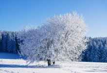 Штормовое предупреждение в ряде областей РК объявили синоптики на последний день 2022 года
