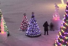 Женщина справляла нужду у новогодней елки в Кокшетау
