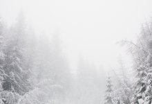 Снег и метель ожидаются на большей части территории Казахстана