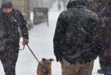 Высокий риск осадков сохраняется на всей территории Казахстана