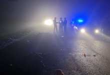 Двоих человек насмерть сбили на трассе в Жетысуской области