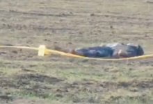 Пропавшего пенсионера обнаружили мертвым в Туркестанской области (ВИДЕО)