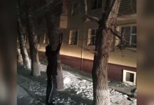 Девушка упала с высоты в Аркалыке: спасший ее полицейский рассказал подробности