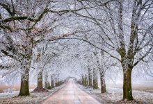 122 участка автодорог закрыто из-за погоды в Казахстане