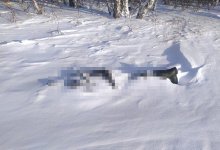 Пропавшего рыбака нашли мертвым в СКО
