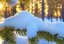 Погода без осадков ожидается в Казахстане