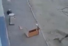 Диван сбросили на голову мужчине в Актау