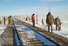 Ради миграции сайги железнодорожную инфраструктуру демонтируют в Улытауской области