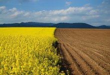 Интерактивную карту возвращенных сельхозземель запустили в Казахстане