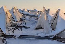 Сильные морозы погубили урожай на юге Казахстана