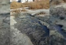 Нечистоты стекают прямо в Каспий в Актау (ВИДЕО)