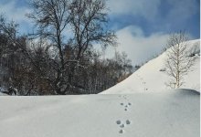 Погода без осадков сохранится в Казахстане 23 января