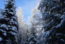 Ясная погода ожидает казахстанцев в ближайшие дни