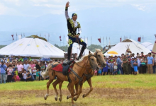 Избраны шесть новых президентов федераций национальных видов спорта РК