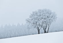 Штормовое предупреждение объявили в пяти регионах Казахстана