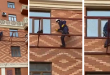 С третьего этажа спустили застрявшую на подоконнике кошку в Актау (ВИДЕО)