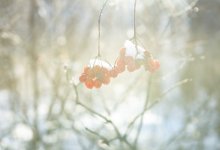 Снег и туман ожидаются в Казахстане 1 февраля