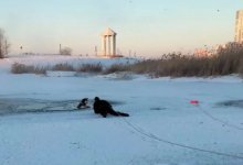 Женщина и собака провалились под лед в Астане