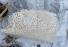 Крупный наркоканал ликвидировали в Казахстане