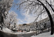 До 12 градусов тепла ожидается в ближайшие дни в Казахстане