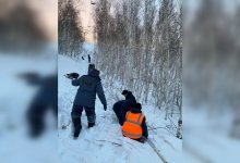 Туристы застряли на канатной дороге в Баянауле