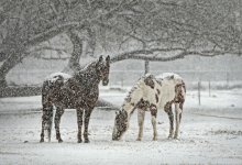 Осадки ожидаются на большей части территории Казахстана