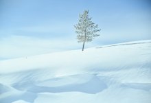 Усиление ветра ожидается в Казахстане 7 февраля