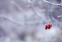 Неустойчивый характер погоды сохраняется на территории Казахстана