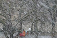 Снег с метелью прогнозируют на большей части территории Казахстана