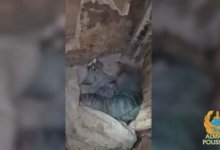 Участковый спас от обморожения пенсионерку в Алматы