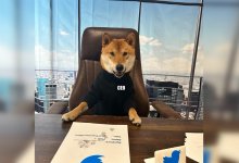 Илон Маск "назначил" гендиректором Twitter собаку