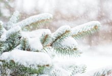 Сильные осадки ожидаются на большей части Казахстана