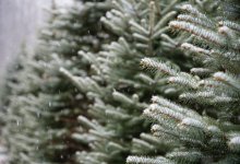 В каких областях Казахстана объявили штормовое предупреждение