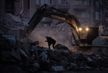 Следует опасаться грызунов – эпидемиолог о рисках развития эпидемий в Турции и Сирии