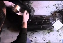 Нарколабораторию на крыше многоэтажки обнаружили в ЗКО