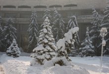 Дождь и снегопад прогнозируют синоптики в Казахстане