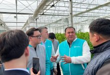 AMANAT: члены Республиканского общественного штаба встретились с Туркестанскими аграриями