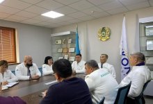 В депутаты придет энергичная молодежь - Омирзак Озганбайулы