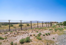 Членов ОПГ Коспаева незаконно переправил через госграницу житель Жамбылской области