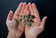 Крупный наркоканал ликвидировали в Алматы (ВИДЕО)