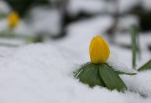 Осадки и потепление ожидаются на большей части Казахстана