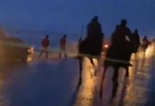 Участников кокпара на дороге накажут в области Жетысу (ВИДЕО)