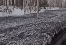 “Черный снег” вдоль трассы Усть-Каменогорск – Риддер напугал активистов в ВКО (ВИДЕО)