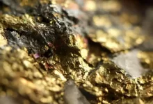 16 килограммов золотосодержащей руды нес "черный" старатель из карьера в Степногорске