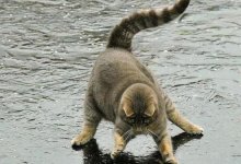 Из-за гололеда отменили поход в школу для учеников Усть-Каменогорска