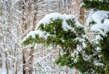 Осадки ожидаются на всей территории Казахстана