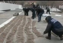 Почти 2,5 тысячи рогов сайги изъяли полицейские в Атырау