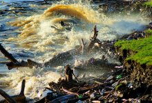 В Алматы и двух областях предупредили о разливах рек и подтоплениях