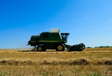 Меньше хлопка, больше зерновых: начало посевной обсудили в Минсельхозе